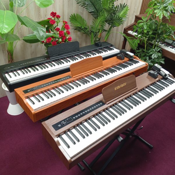 Digital Piano Digital Piano